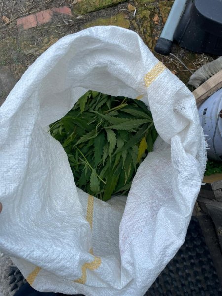 В Сахалинской области сотрудники полиции изъяли у местного жителя мешок конопли