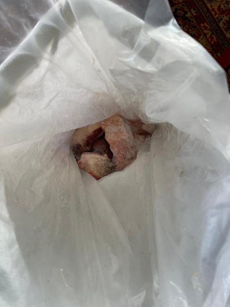 Подозреваемый в незаконном хранении пороха, мака и частей рыбы калуги задержан полицией на Сахалине